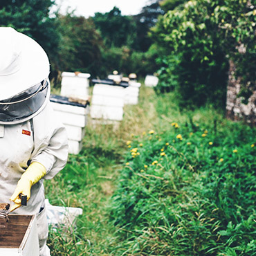 New webinar event: ‘unlocking seed secrets’